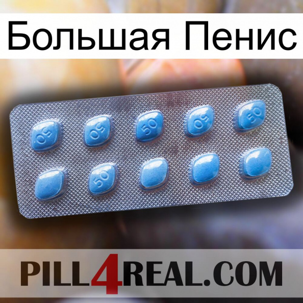 Большая Пенис viagra3.jpg